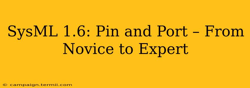 SysML 1.6: Pin and Port – From Novice to Expert