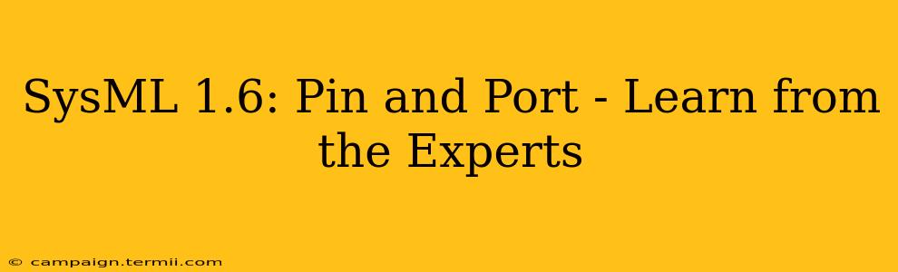 SysML 1.6: Pin and Port - Learn from the Experts