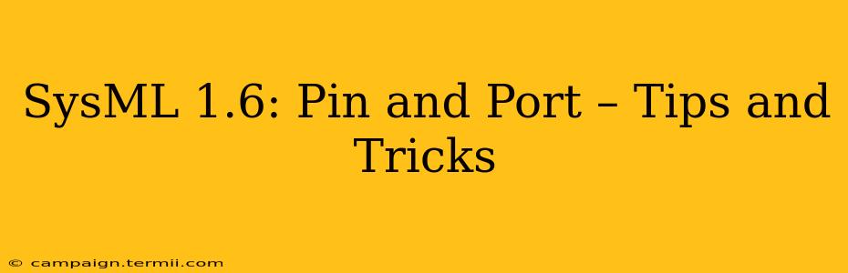 SysML 1.6: Pin and Port – Tips and Tricks