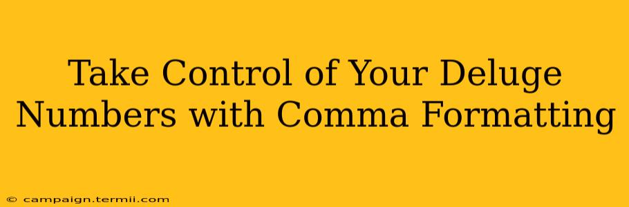 Take Control of Your Deluge Numbers with Comma Formatting