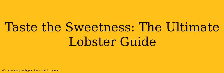 Taste the Sweetness: The Ultimate Lobster Guide