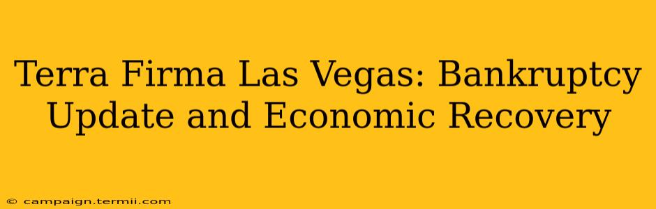 Terra Firma Las Vegas: Bankruptcy Update and Economic Recovery