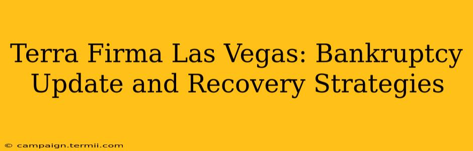 Terra Firma Las Vegas: Bankruptcy Update and Recovery Strategies