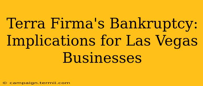 Terra Firma's Bankruptcy: Implications for Las Vegas Businesses