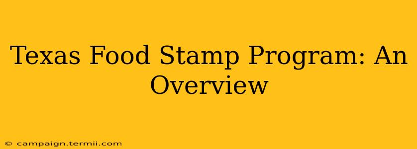 Texas Food Stamp Program: An Overview