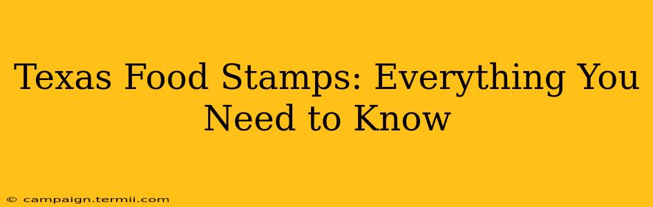 Texas Food Stamps: Everything You Need to Know