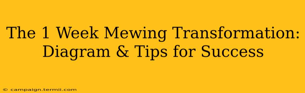 The 1 Week Mewing Transformation: Diagram & Tips for Success