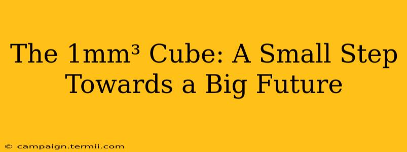 The 1mm³ Cube: A Small Step Towards a Big Future