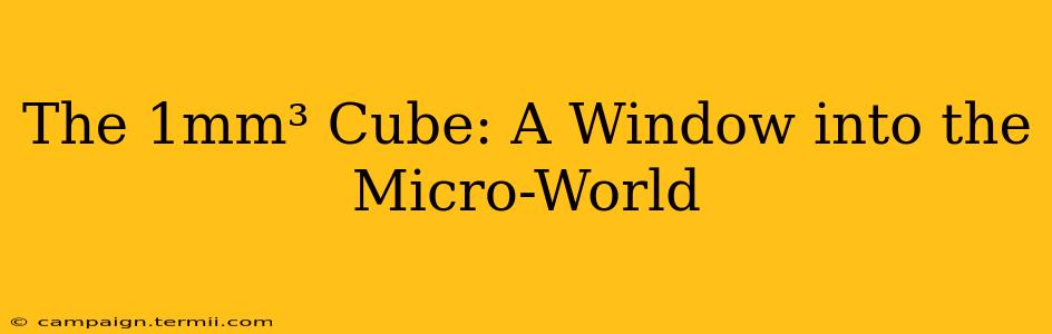 The 1mm³ Cube: A Window into the Micro-World