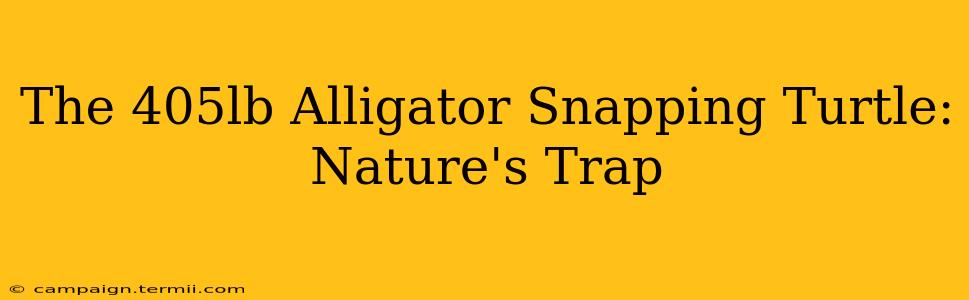 The 405lb Alligator Snapping Turtle:  Nature's Trap