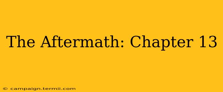 The Aftermath: Chapter 13