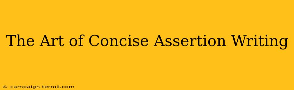 The Art of Concise Assertion Writing