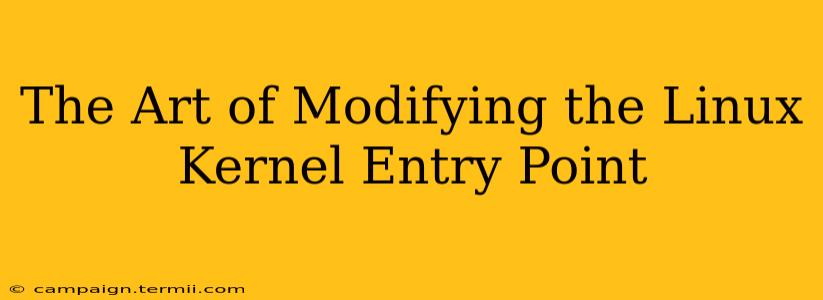 The Art of Modifying the Linux Kernel Entry Point