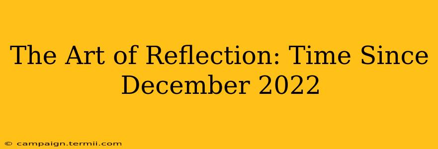 The Art of Reflection: Time Since December 2022