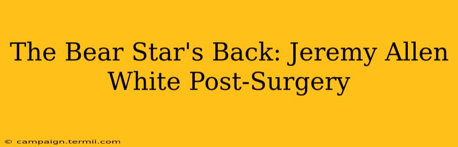 The Bear Star's Back: Jeremy Allen White Post-Surgery