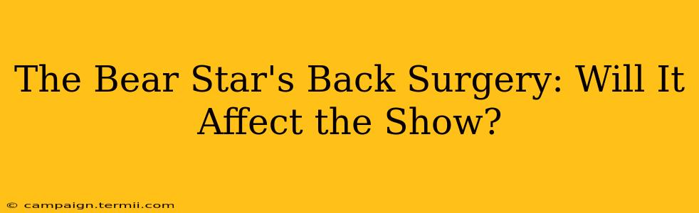 The Bear Star's Back Surgery: Will It Affect the Show?