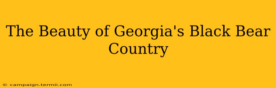 The Beauty of Georgia's Black Bear Country