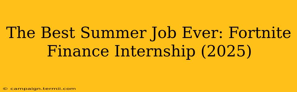 The Best Summer Job Ever: Fortnite Finance Internship (2025)