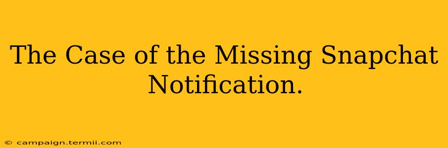 The Case of the Missing Snapchat Notification.