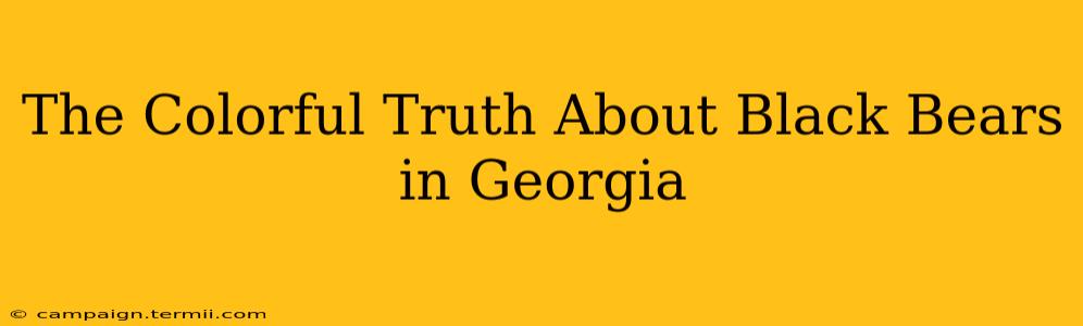 The Colorful Truth About Black Bears in Georgia