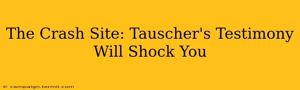 The Crash Site: Tauscher's Testimony Will Shock You