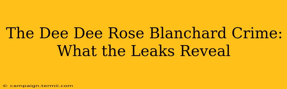 The Dee Dee Rose Blanchard Crime: What the Leaks Reveal