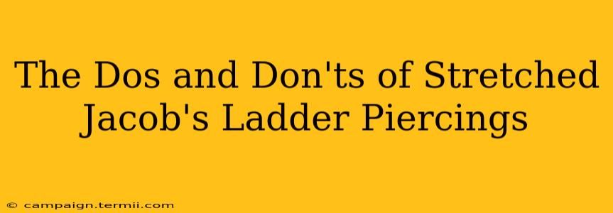 The Dos and Don'ts of Stretched Jacob's Ladder Piercings