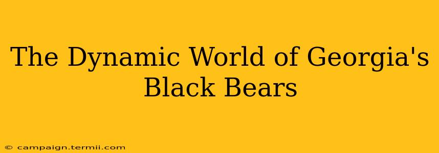 The Dynamic World of Georgia's Black Bears