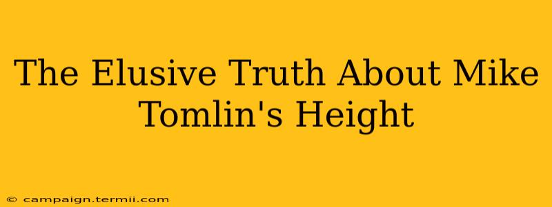 The Elusive Truth About Mike Tomlin's Height