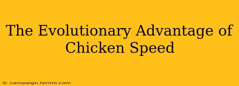 The Evolutionary Advantage of Chicken Speed