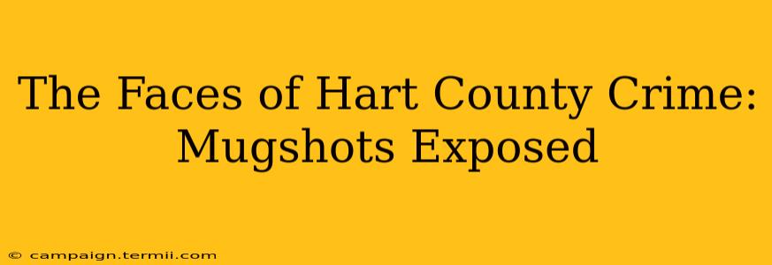 The Faces of Hart County Crime: Mugshots Exposed