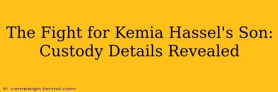 The Fight for Kemia Hassel's Son: Custody Details Revealed