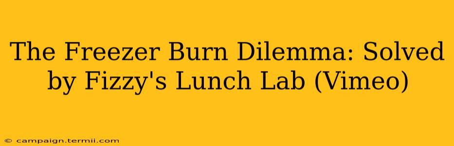 The Freezer Burn Dilemma: Solved by Fizzy's Lunch Lab (Vimeo)