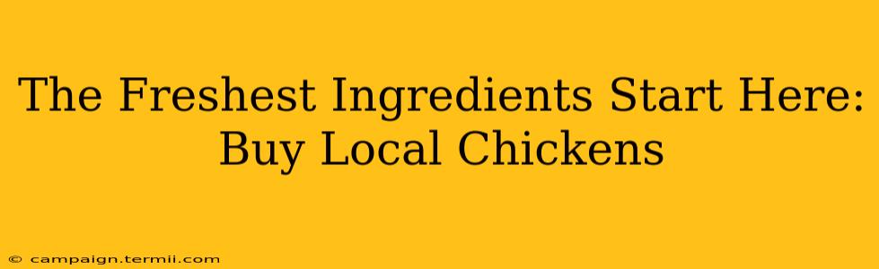 The Freshest Ingredients Start Here: Buy Local Chickens