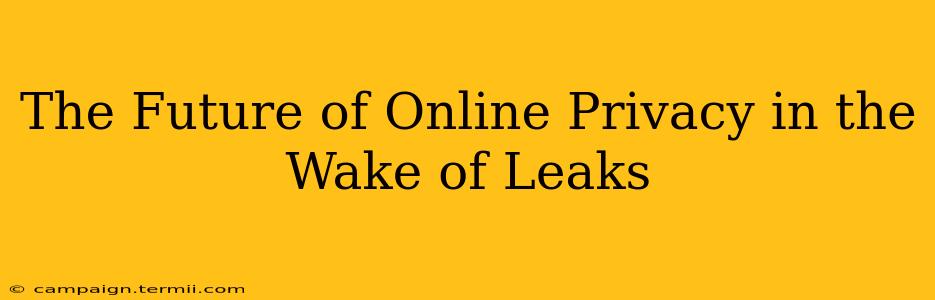 The Future of Online Privacy in the Wake of Leaks