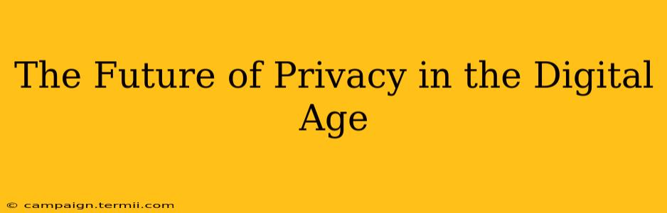 The Future of Privacy in the Digital Age