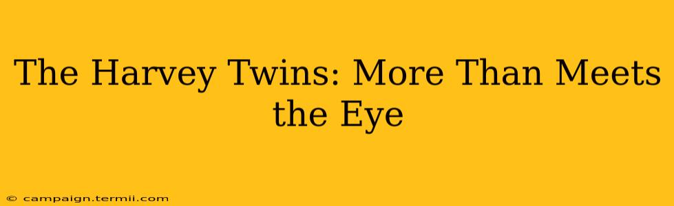 The Harvey Twins: More Than Meets the Eye