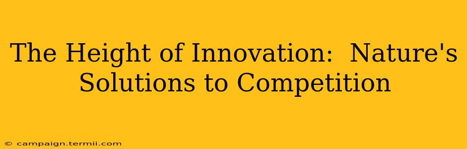 The Height of Innovation:  Nature's Solutions to Competition