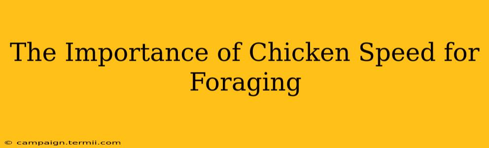 The Importance of Chicken Speed for Foraging