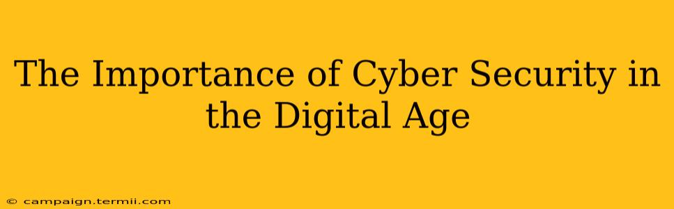 The Importance of Cyber Security in the Digital Age