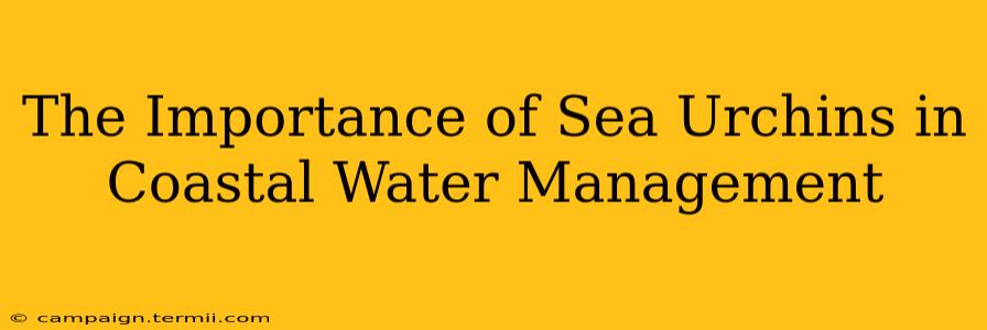 The Importance of Sea Urchins in Coastal Water Management