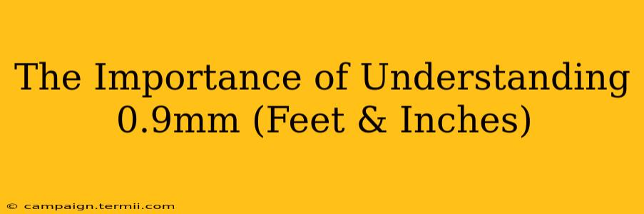 The Importance of Understanding 0.9mm (Feet & Inches)