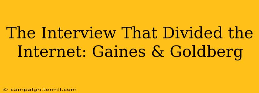 The Interview That Divided the Internet: Gaines & Goldberg