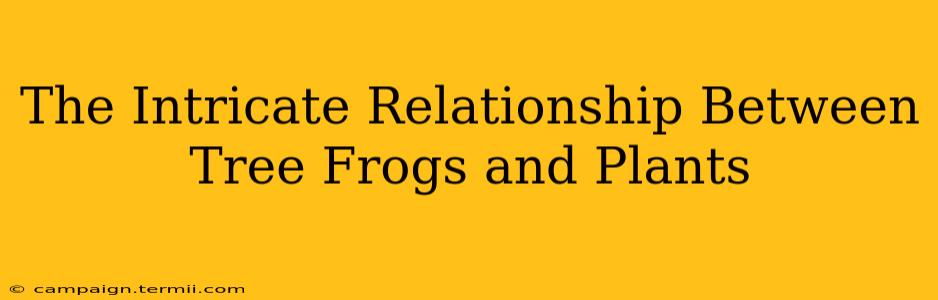 The Intricate Relationship Between Tree Frogs and Plants