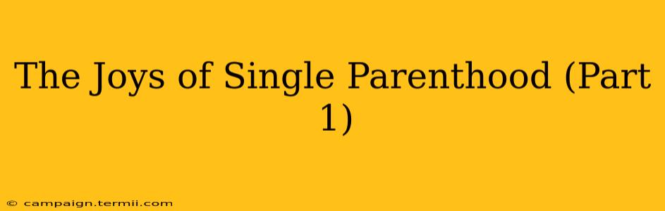 The Joys of Single Parenthood (Part 1)