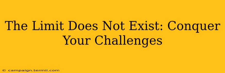 The Limit Does Not Exist: Conquer Your Challenges