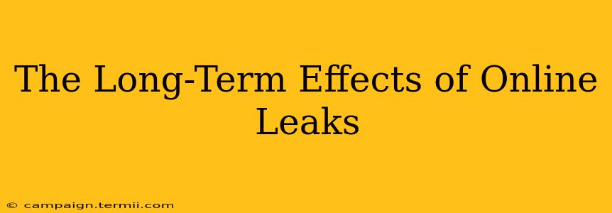 The Long-Term Effects of Online Leaks