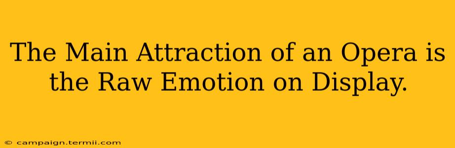 The Main Attraction of an Opera is the Raw Emotion on Display.