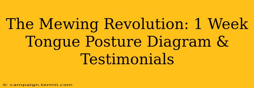 The Mewing Revolution: 1 Week Tongue Posture Diagram & Testimonials