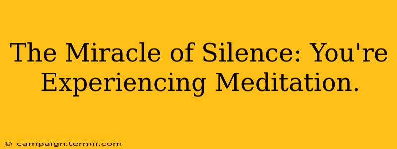 The Miracle of Silence: You're Experiencing Meditation.